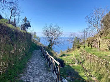 Amalfiküste: Tour durch die Furore-Weinberge und die Höhlen von Agerola
