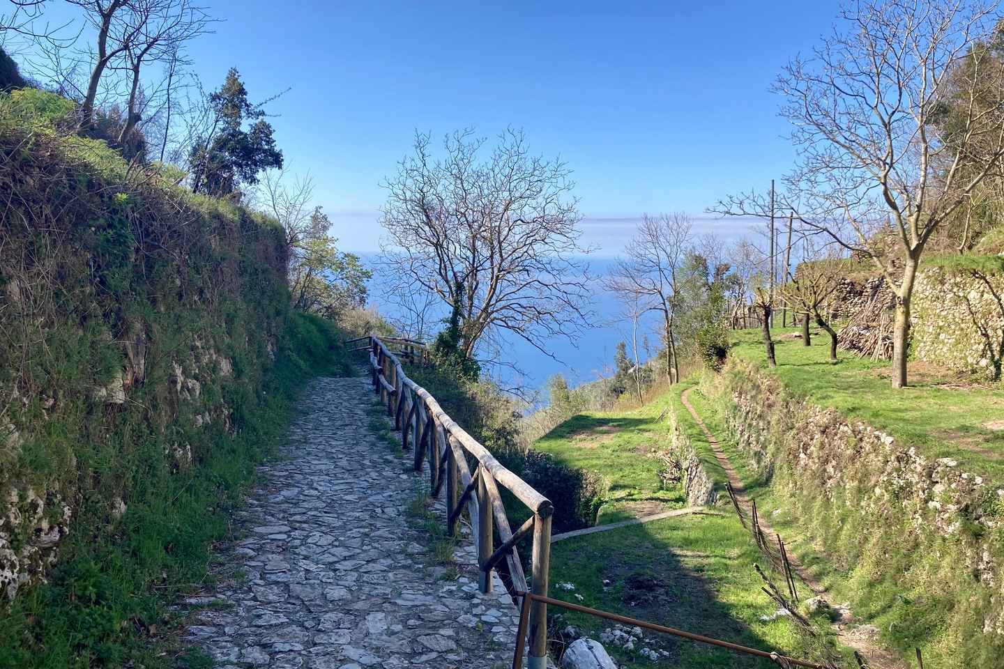 Costa de Amalfi: Tour por los viñedos de Furore y las cuevas de Agerola