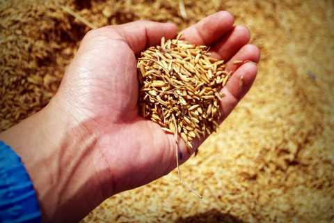 Dimbulagala Eco Trekking and Village Tour From Polonnaruwa