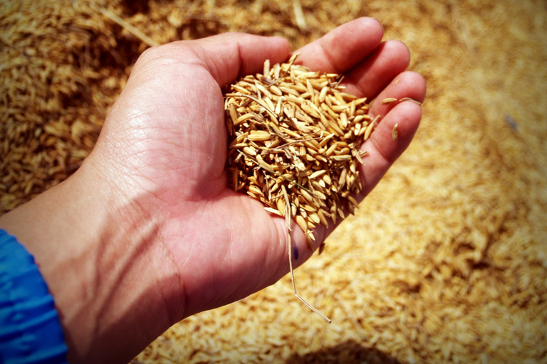 Dimbulagala Eco Trekking and Village Tour From Polonnaruwa