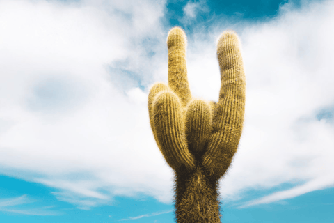 Flavors of Altitude, experience Cachi and Hornocal in 2 days Flavors of Altitude, experience Cachi and Hornocal in two days