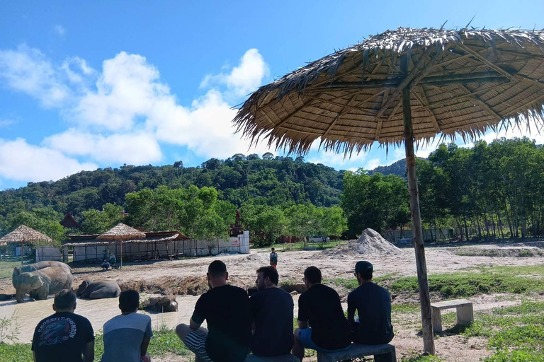 Phuket: Reserva de elefantes Freedom - Paseo por la naturaleza etéreaPhuket: Tour por la reserva natural Freedom Elephant Reserve con paseo y alimentación de elefantes