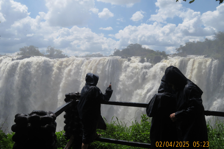 Victoria Falls: Guided Tour with Hotel Pickup