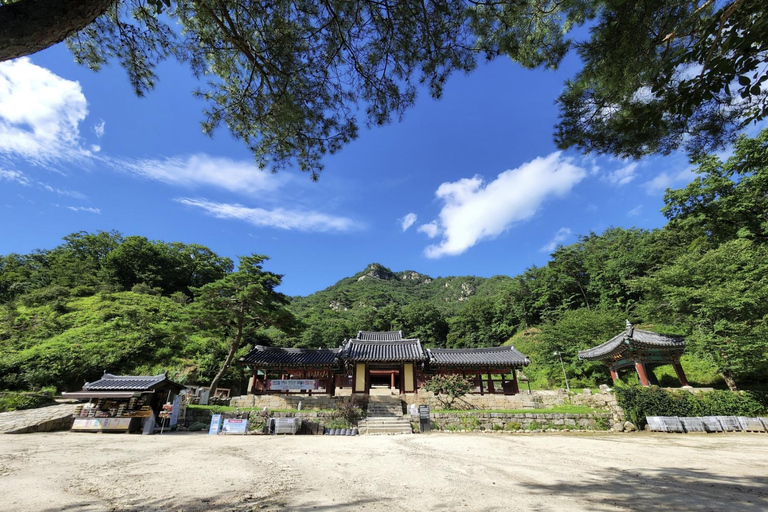 Chuncheon: Temple, Lake Cruise & Forest Escape