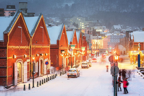 Hokkaido Noboribetsu Toya-ko Otaru visite d&#039;une jounéeSapporo Eastern Hotel