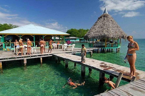 Bocas del Toro: tour en barco por la isla de los Monos y Cayo Coral