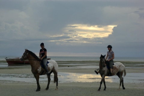 Zanzibar Horseback Riding, Stone Town Tour