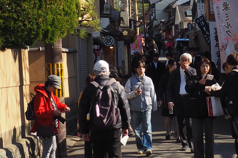 E-Bike Tour in Kyoto with Asuka, Japanese graduate student