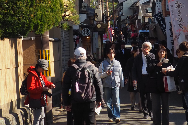 E-Bike Tour in Kyoto with Asuka, Japanese graduate student