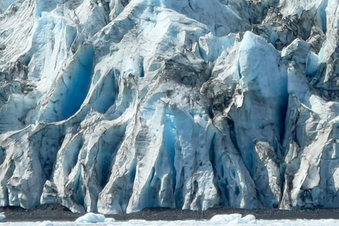 Anchorage: Glacier & Wildlife Discovery Tour (7-hours)