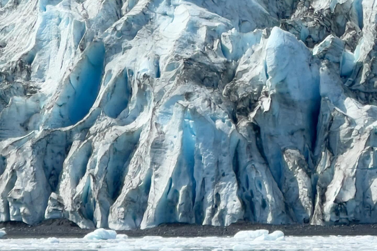 Anchorage: Glacier & Wildlife Discovery Tour (7-hours)