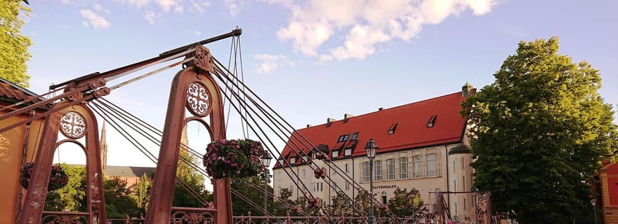 Uppsala : visite guidée privée à pied