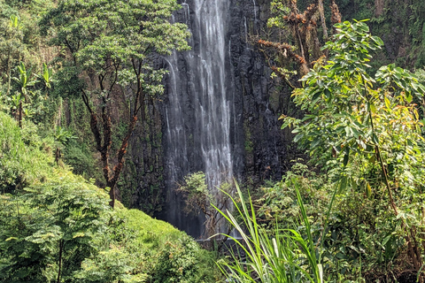 Day Trip: Materuni Waterfalls, Coffee, Springs & Maasai