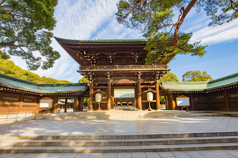 Best of Tokyo: Guided Full Day City Tour with Lunch