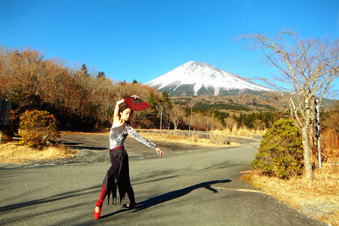 Tokyo: Private Mt. Fuji Luxury Day Tour – Fully Customizable Luxury Land Cruise Customizable Tour