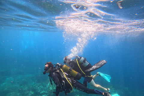 Learn to dive with the PADI Discover Scuba Diver course in Martinique
