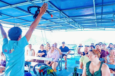 Koh Tao in a Day: Turtles, Hidden Reefs & Nangyuan Viewpoint
