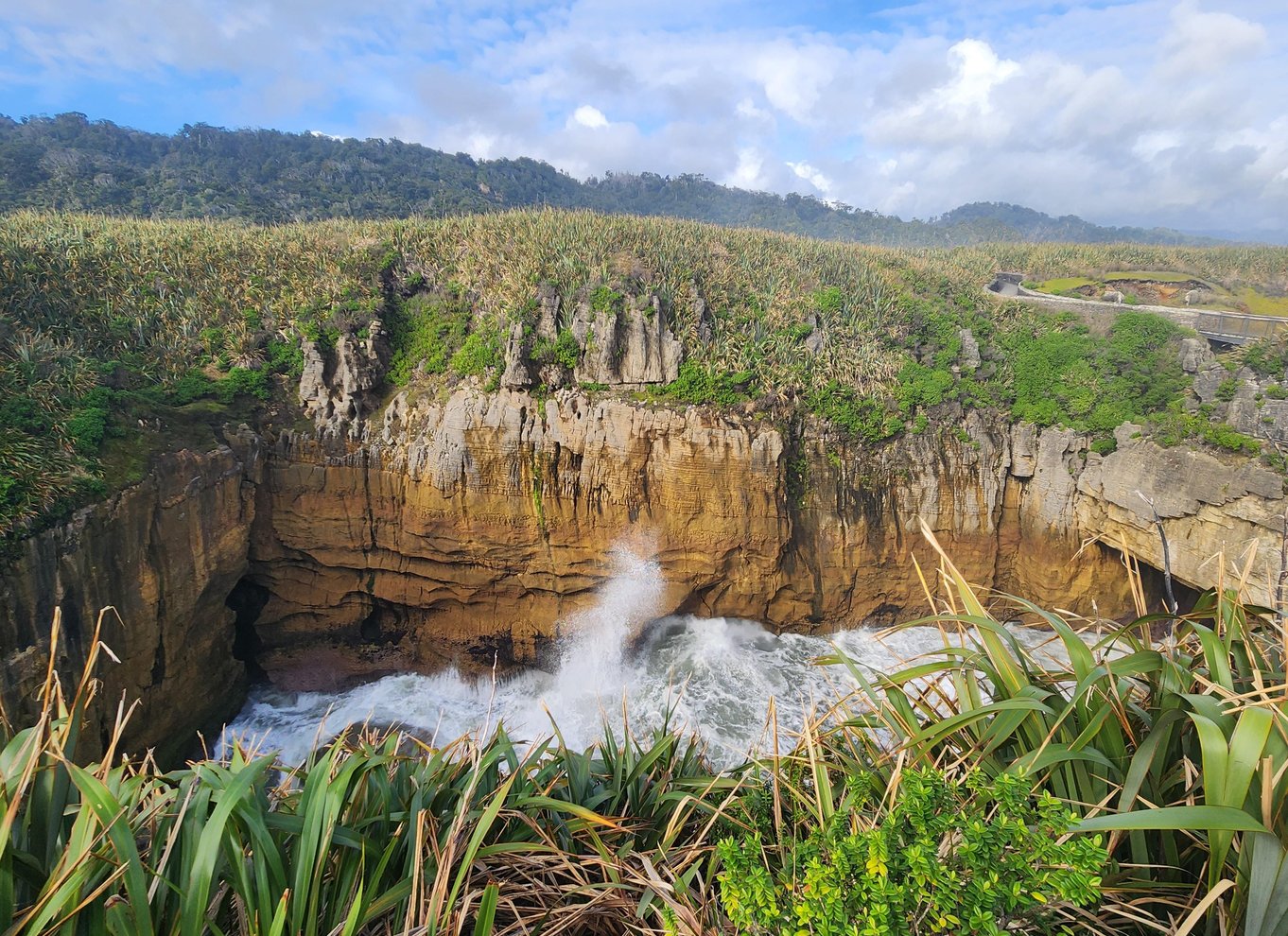 Fra Greymouth: Tur til Punakaiki Blowholes og Pancake Rocks