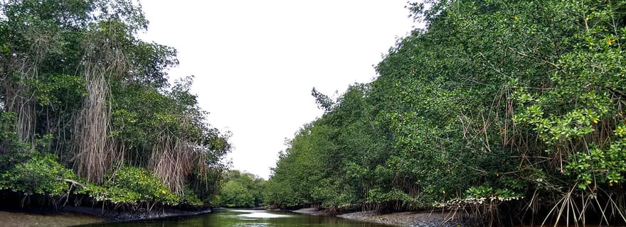 Tumbes : Îles de Puerto Pizarro et mangroves