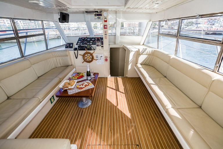 Tenerife: Private Yacht Charter for Whale and Dolphin Watching, with Lunch and Swim Tenerife: Private yacht rental for whale watching with food and a swim