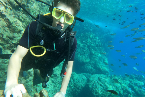 Side Underwater Museum Diving Adventure Side: Guided Scuba Diving Experience with Two Boat Dives