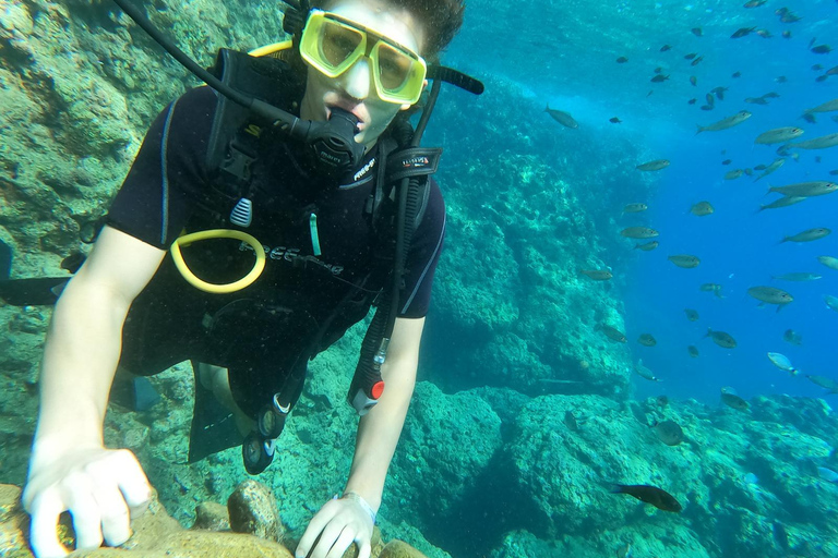 Side Underwater Museum Diving Adventure Side: Guided Scuba Diving Experience with Two Boat Dives