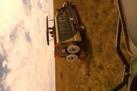 Safári em grupo de 3 dias em Maasai Mara usando um Landcruiser 4x4