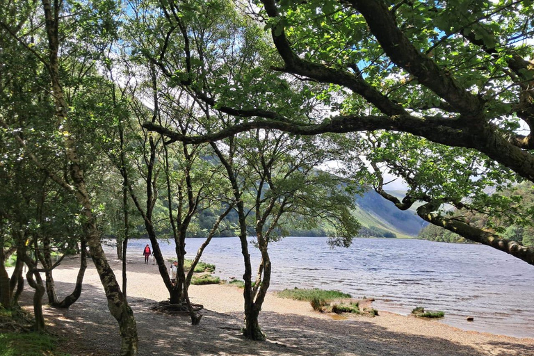 From Dublin: Wicklow Mountains & Glendalough Guided Tour