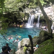 Jeju Island: Van Tour with a Guide Who Most Loves Jeju Jeju Island: Van Tour with a Guide Who Most Loves Jeju