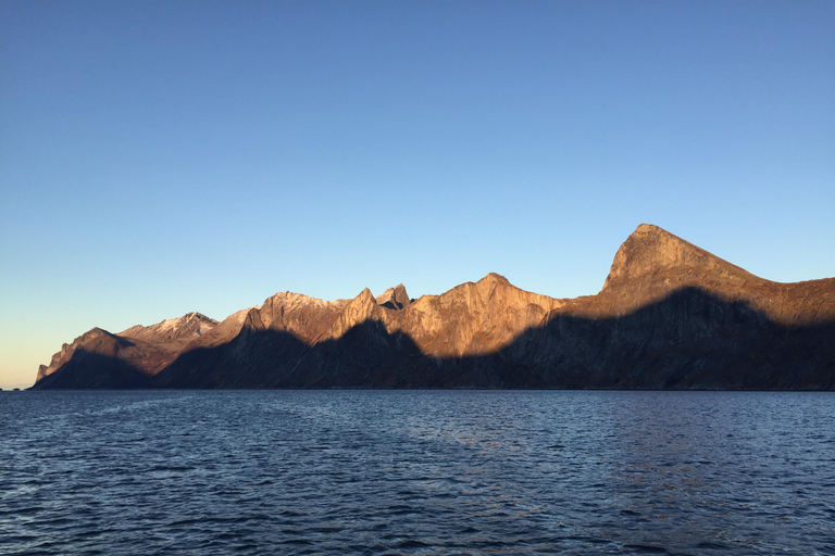 From Tromsø: Discover Senja Island with Local Guide From Tromsø: Privately Discover Senja with Local Guide