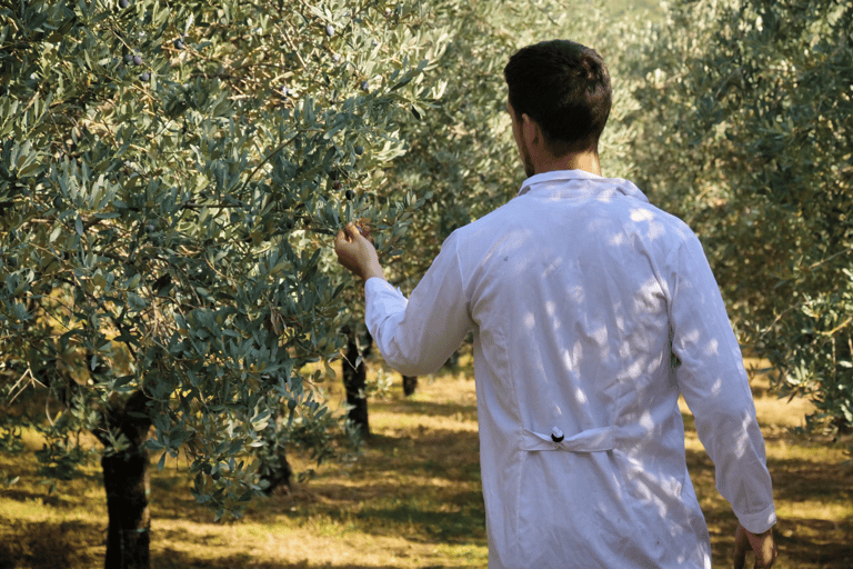 From Loutraki: Ancient Corinth, Canal, and Olive Oil Tour