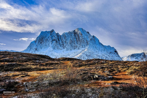 特罗姆瑟：正宗塞尼亚岛一日旅行（含午餐）