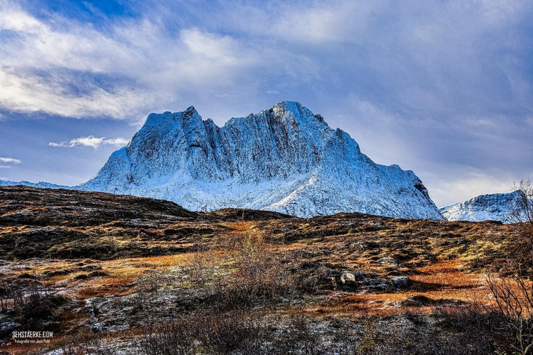 特罗姆瑟：正宗塞尼亚岛一日旅行（含午餐）