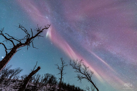 Depuis Tromsø : Chasse aux aurores boréales avec photos et dîner