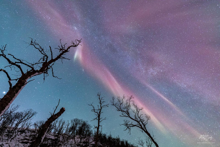 Desde Tromsø: Persecución de auroras boreales con fotos y cena