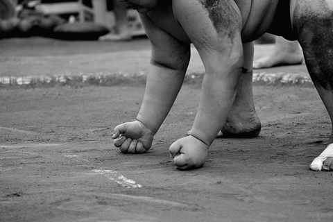 Sumo Morning Practice with Local Guide | Tokyo & More