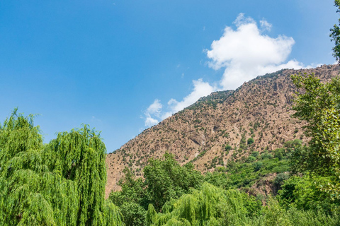 From Marrakech: Day Trip to Ourika Valley