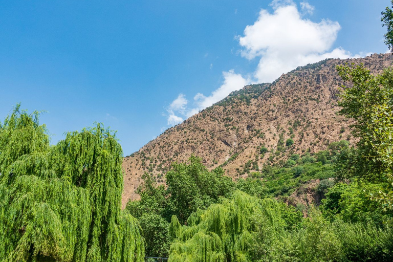 From Marrakech: Day Trip to Ourika Valley