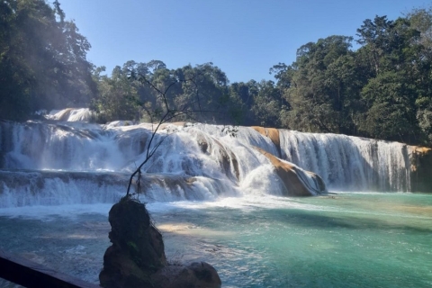 Von Palenque: Palenque, Agua Azul Wasserfälle und Misol-Ha