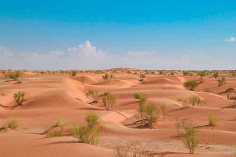A partir de Djerba/Zarzis: Tesouros do Sul da Tunísia 3 diasDe Djerba/Zarzis: Tesouros do Sul da Tunísia, 3 dias