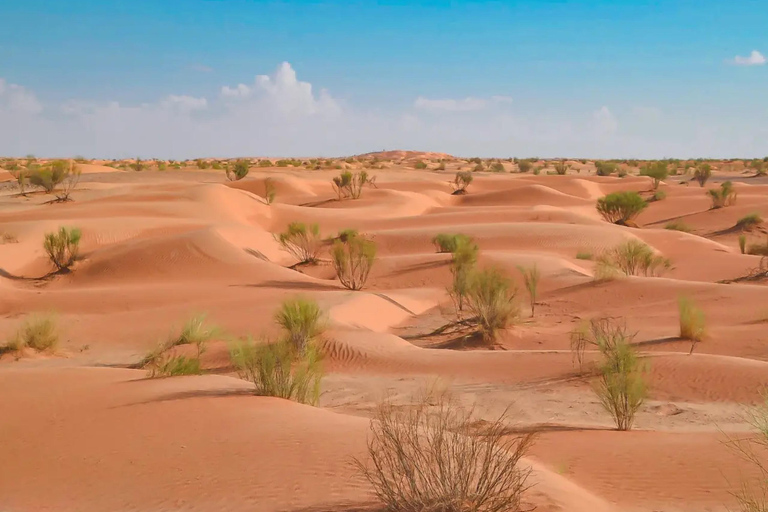 A partir de Djerba/Zarzis: Tesouros do Sul da Tunísia 3 diasDe Djerba/Zarzis: Tesouros do Sul da Tunísia, 3 dias