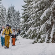 Private geführte Schneeschuhwanderung im Osloer Wald