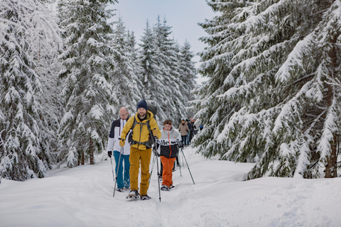 Von Oslo aus: Geführte Schneeschuhwanderung im Oslomarka Wald