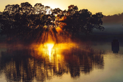 Adelaide Hills : Visite photographique avec café