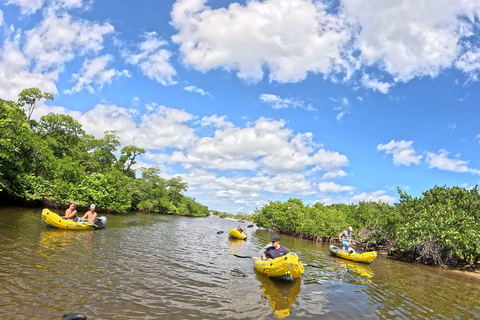 Fort Lauderdale: Kayak & Paddleboard Mangroves Eco Adventure