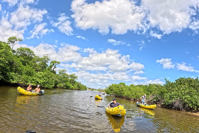 Fort Lauderdale: Kayak & Paddleboard Mangroves Eco Adventure