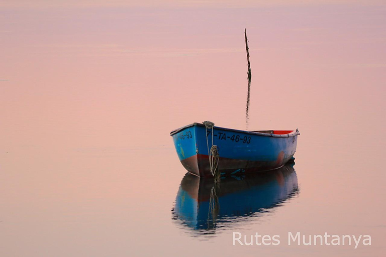 Ebro Delta: Birding and Bird Photography in a Van