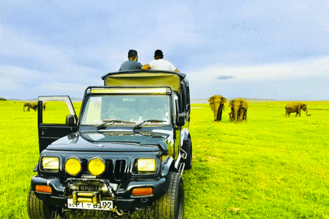 Safari privé en jeep dans l&#039;un des meilleurs parcs nationaux