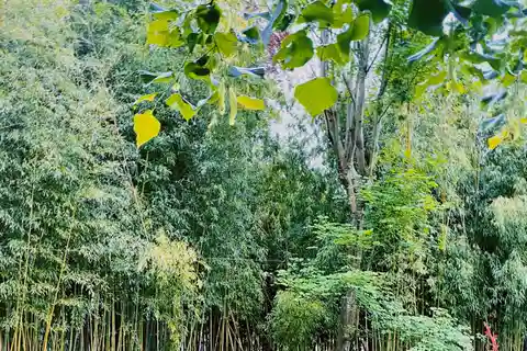 Giverny: Monet Haus und Gärten Skip-the-Line Private Tour