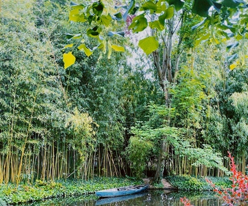 Giverny: Casa e Jardins de Monet Tour particular sem filas